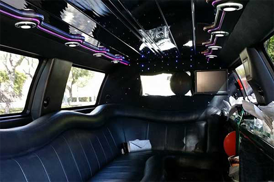 fancy limo interior