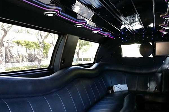 leather limo seating