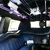 lavish limo